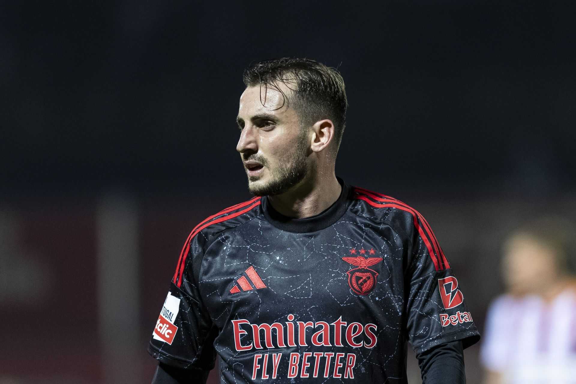 Benfica vs Estoril Praia Prediction and Betting Tips | December 23rd 2024